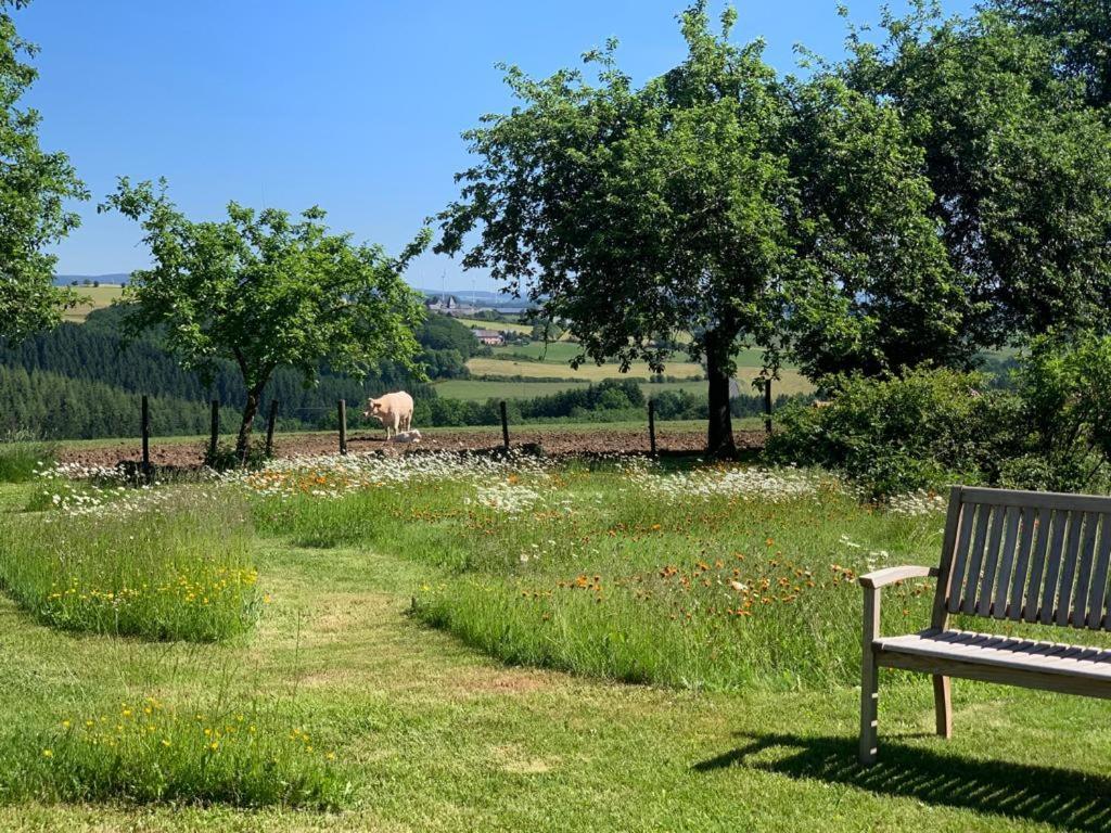 Апартаменти Urlaub Mit Hund Auf Dem Bauernhof Hofswald Euscheid Екстер'єр фото