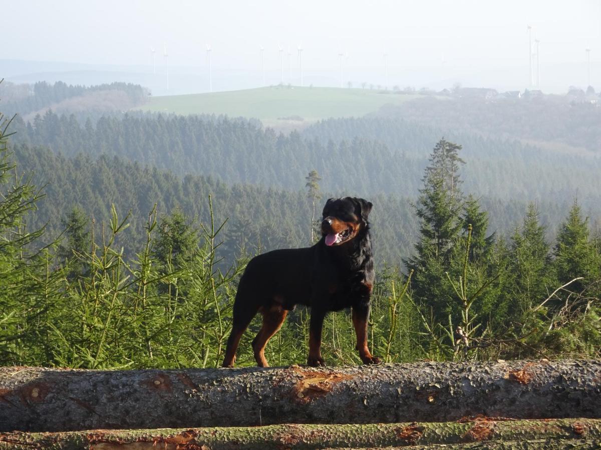 Апартаменти Urlaub Mit Hund Auf Dem Bauernhof Hofswald Euscheid Екстер'єр фото